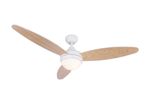 Ventilateur de plafond