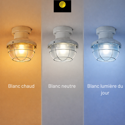Différentes couleurs de lumière dans la cave
