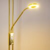 Lampadaire à vasque Donna LED Laiton, 2 lumières