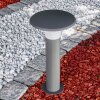Borne lumineuse Chelmsford LED Anthracite, 1 lumière