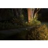 Spot Spot de jardin Luminaires Philips LED Noir, 1 lumière, Changeur de couleurs