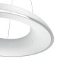 Suspension Philips Hue Ambiance White Amaze LED Blanc, 1 lumière, Télécommandes