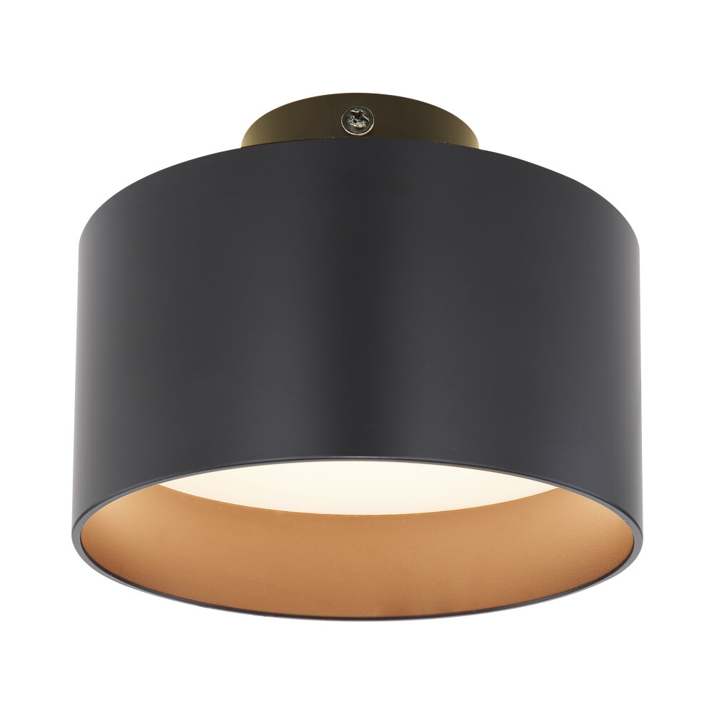 Plafonnier Globo JENNY LED Noir, 1 lumière main product photo