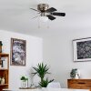 Ventilateur de plafond Trillo Gris, Nickel mat, Blanc, 1 lumière