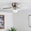 Ventilateur de plafond Trillo Gris, Nickel mat, Blanc, 1 lumière