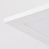 Plafonnier Sordos LED Blanc, 1 lumière, Détecteur de mouvement