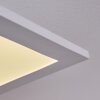 Plafonnier Sordos LED Blanc, 1 lumière, Détecteur de mouvement