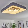 Plafonnier Gabbiana LED Gris, Blanc, 1 lumière, Télécommandes