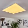 Panneau LED Salamo Blanc, 1 lumière, Télécommandes