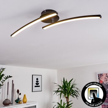 Plafonnier Aringa LED Noir, 1 lumière