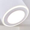 Plafonnier Appleton LED Blanc, 1 lumière