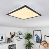 Plafonnier Salmi LED Noir, Blanc, 1 lumière