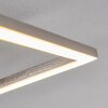 Plafonnier Chilkat LED Nickel mat, 1 lumière