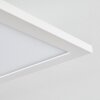 Plafonnier Salmi LED Blanc, 1 lumière, Télécommandes