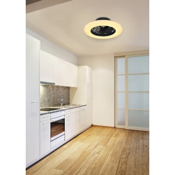 Ventilateur de plafond Globo TRAVO LED Noir, 1 lumière, Télécommandes