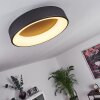 Plafonnier Pine LED Noir, 1 lumière