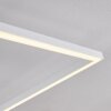 Plafonnier Moya LED Blanc, 1 lumière