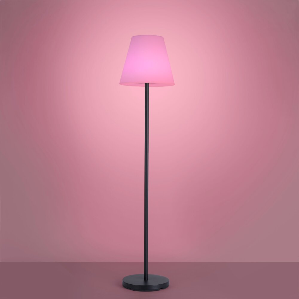 Lampadaire Leuchten Direkt HOLLY LED Noir, 1 lumière, Changeur de couleurs