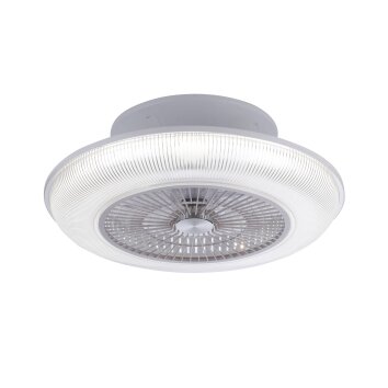 Ventilateur de plafond Leuchten Direkt DION LED Argenté, 1 lumière, Télécommandes, Changeur de couleurs