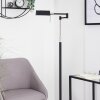 Lampadaire Norrlida LED Chrome, Noir, 1 lumière