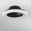 Ventilateur de plafond Piraeus LED Noir, 1 lumière, Télécommandes