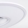 Ventilateur de plafond Marmorta LED Blanc, 1 lumière, Télécommandes