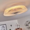 Ventilateur de plafond Rivarotta LED Blanc, 1 lumière, Télécommandes