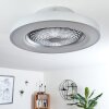 Ventilateur de plafond Penon LED Argenté, 1 lumière, Télécommandes