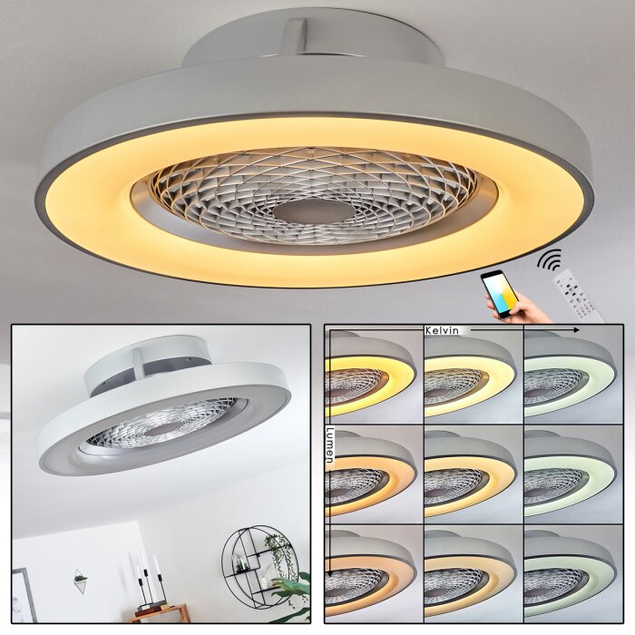Ventilateur de plafond Penon LED Argenté, 1 lumière, Télécommandes Ventilateur de plafond Penon LED Argenté, 1 lumière, Télécommandes