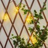 guirlande lumineuse solaire Trygsland LED Brun, 50 lumières