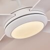 Ventilateur de plafond Tjerne LED Blanc, 1 lumière