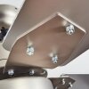 Ventilateur de plafond Hamnvik Nickel mat, 1 lumière