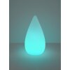 Lampe à poser Reality Palmas LED Blanc, 1 lumière, Télécommandes, Changeur de couleurs