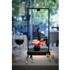 Lampe de table Artemide Curiosity LED Brun, Noir, 1 lumière