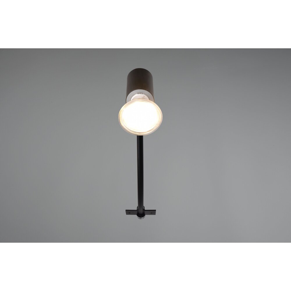 Applique murale Trio-Leuchten Giada Noir, 1 lumière