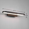 Applique murale Trio-Leuchten Gianni LED Noir, 1 lumière