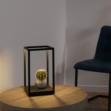 Lampe de table Paul-Neuhaus CONTURA LED Noir, 2 lumières