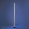 Lampadaire Paul-Neuhaus Q-ADRIANA LED Aluminium, 2 lumières, Télécommandes