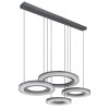 Suspension Globo BLASIUS LED Noir, 1 lumière, Télécommandes