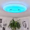 Plafonnier Page LED Blanc, 2 lumières, Télécommandes, Changeur de couleurs