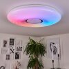 Plafonnier Page LED, 2 lumières, Télécommandes, Changeur de couleurs