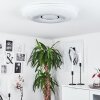 Plafonnier Page LED, 2 lumières, Télécommandes, Changeur de couleurs