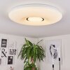 Plafonnier Page LED, 2 lumières, Télécommandes, Changeur de couleurs