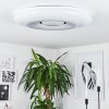 Plafonnier Page LED, 2 lumières, Télécommandes, Changeur de couleurs