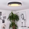 Plafonnier Page LED Noir, Blanc, 2 lumières, Télécommandes, Changeur de couleurs