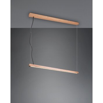Suspension Trio-Leuchten Bellari LED Brun, 1 lumière