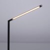 Lampe de table Leuchten-Direkt DAWDA LED Noir, 1 lumière
