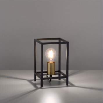 Lampe de table Leuchten-Direkt FABIO Laiton, Noir, 1 lumière