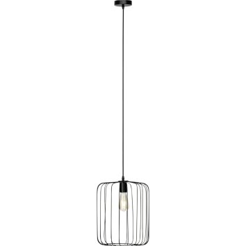 Suspension Brilliant Flavian Noir, 1 lumière