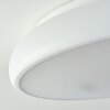Plafonnier Rhone LED Blanc, 1 lumière, Changeur de couleurs